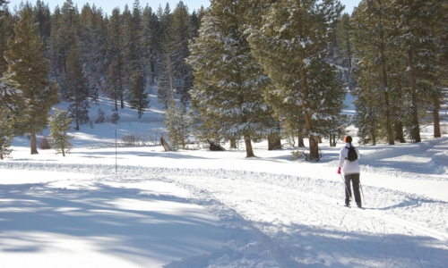 McCall Idaho Nordic Skiing