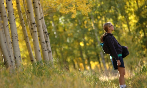 McCall Idaho Hikes