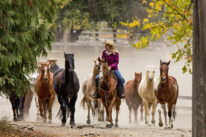 Western Pleasure Guest Ranch - in Sand Point, ID