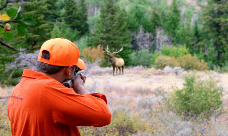 Hunting for Elk