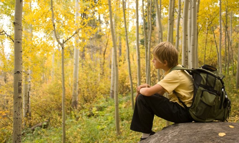 Kid Family Kids Hiking Trail Aspens Colorado