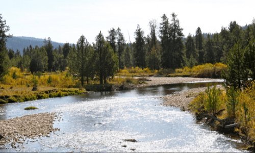 Gold Fork River