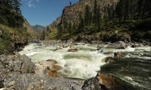 South Fork Salmon River