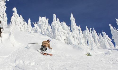 Snow Cat Skiing