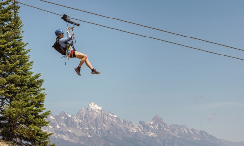 Zipline Tours